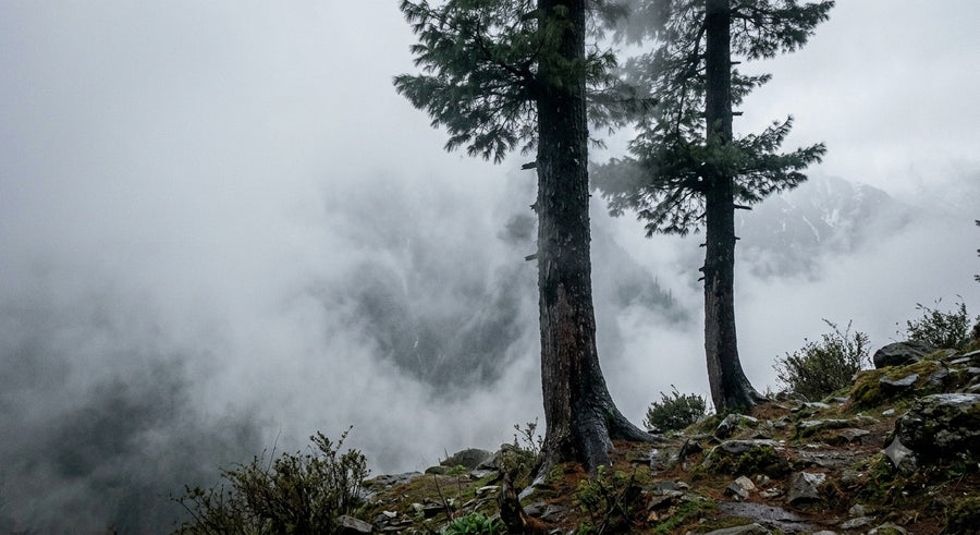 Solang, above Manali